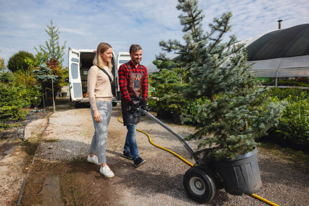 Best Professional Tree Care  in Ponderay, ID